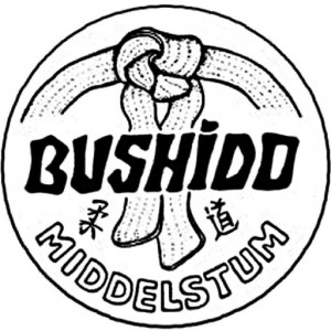 cropped-bushido-logo.jpg